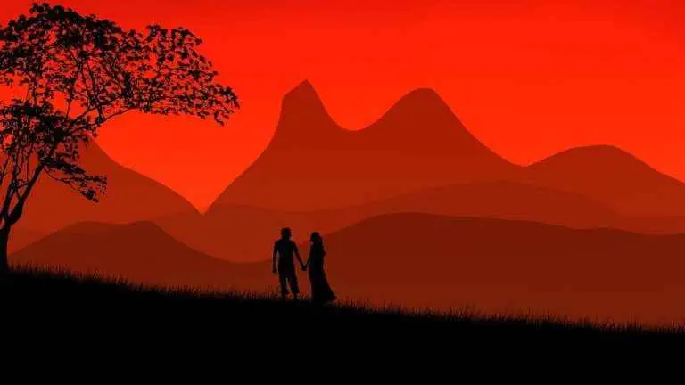 Les Flammes Jumelles, Les Âmes Jumelles et les Âmes Sœurs