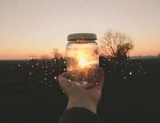 Quelles sont nos priorités