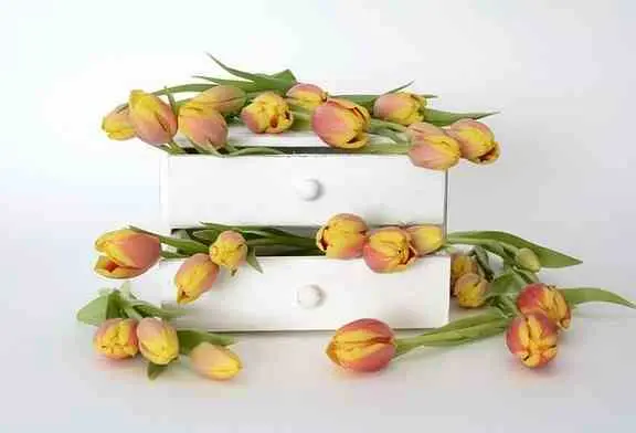 Ouvrez les tiroirs du savoir