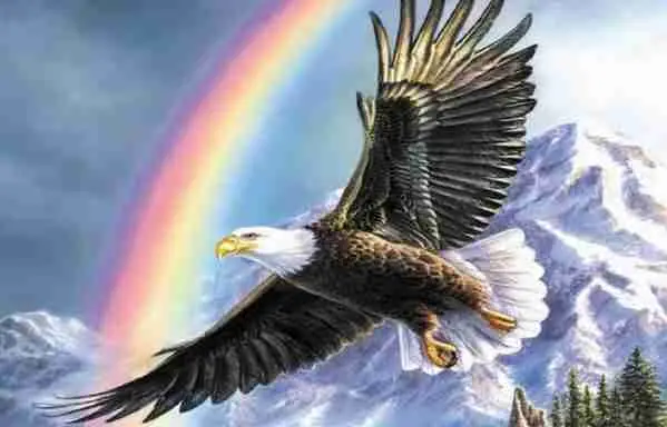 Canard ou aigle, Quel choix faites-vous