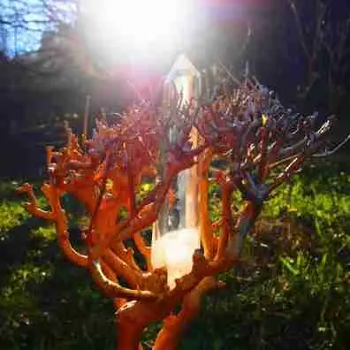 Révéler le sens de la vie