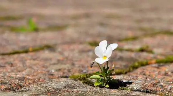 L’espoir est un outil précieux