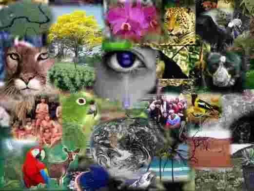 Considérer toute forme de vie avec amour