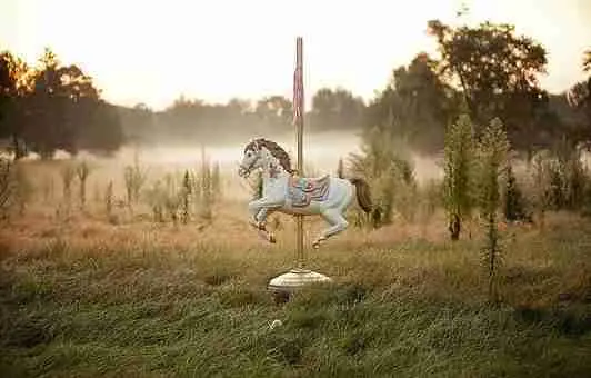 Être et manifester sa plus belle nature