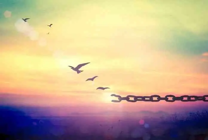 Le changement est un cadeau