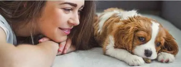 La rencontre entre soi-même et son animal