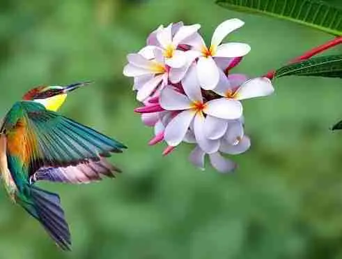 13 formes d’accueil qui font du bien