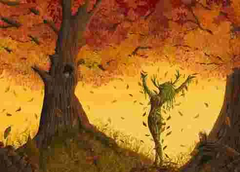 Le pouvoir de guérison des arbres