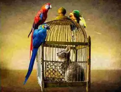 Est-ce que vos protections vous aident ou vous limitent