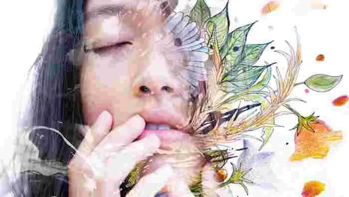 3 clés pour contacter les Esprits de la Nature