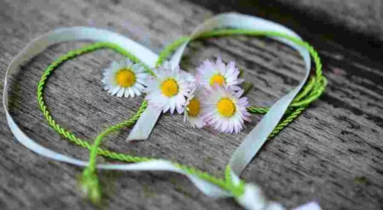 Pourquoi notre tête et notre cœur ont-ils des opinions différentes