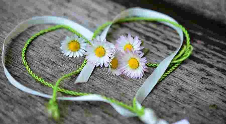 Pourquoi notre tête et notre cœur ont-ils des opinions différentes