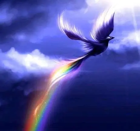 Accepter le changement