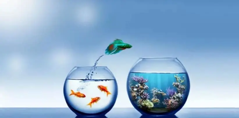 Le pouvoir de l'intention : ou comment inviter l'Univers à concrétiser vos désirs...