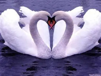 Faire grandir et offrir l’Amour