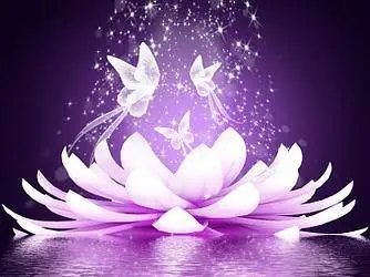 Rien n’empêchera la transition d’avoir lieu