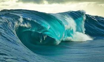 Surfer les Grandes Vagues du Changement