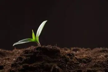 L’humanité à enfin accepté l’énergie d’Unité