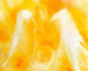 Communier avec vos Anges Solaires