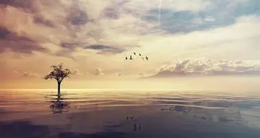 Janvier 2020 : un calme prometteur