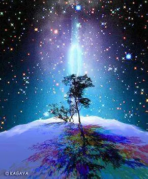 Que sera l’année 2020