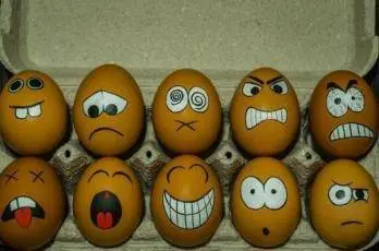 Apprendre à gérer et utiliser nos émotions