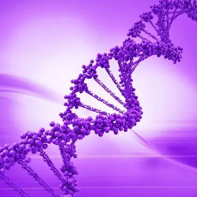 programmation cellule