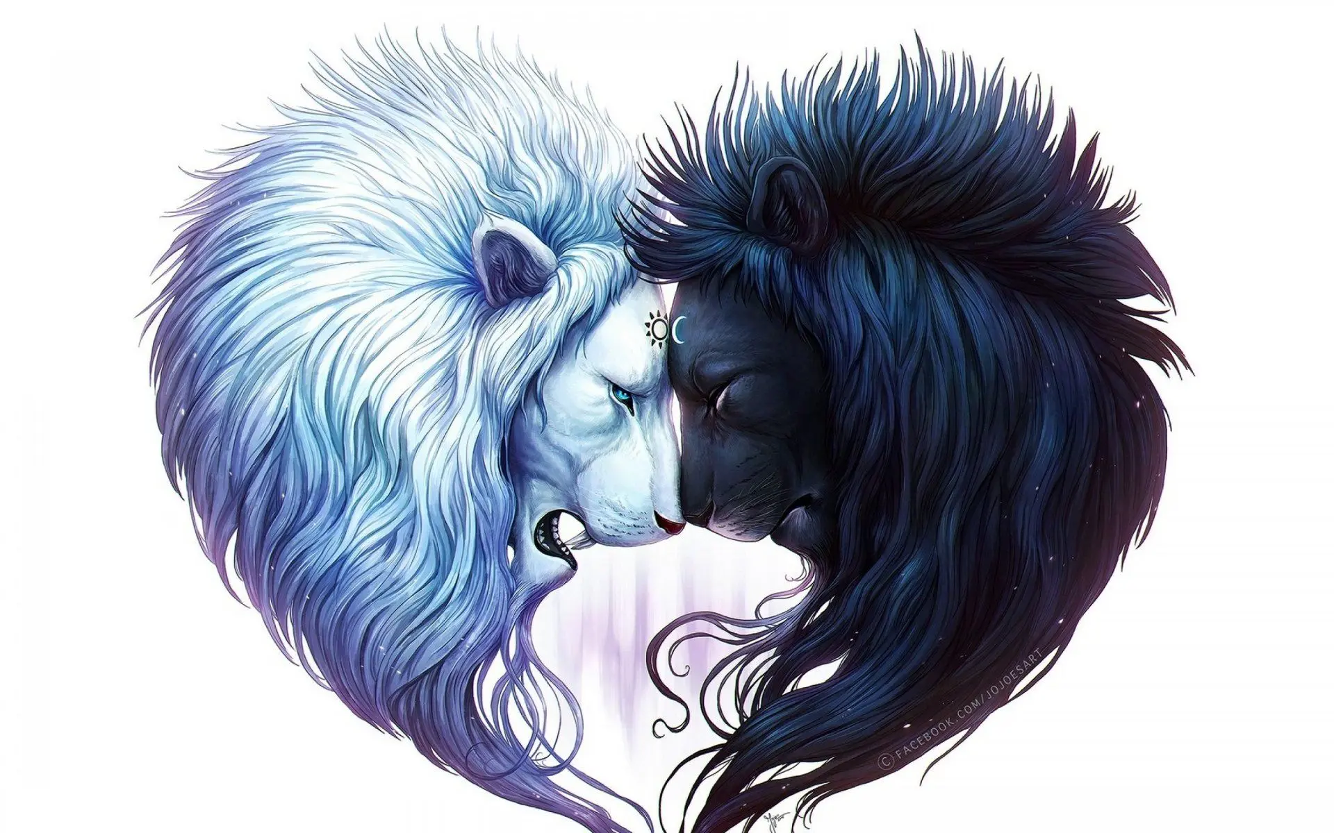 le couple ideal