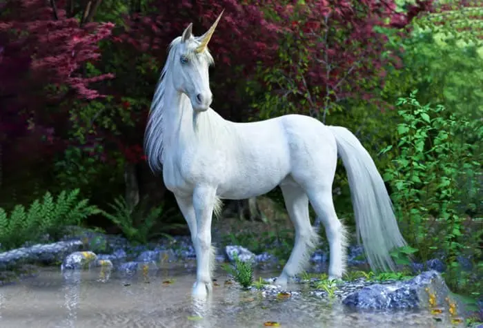 licorne animal totem