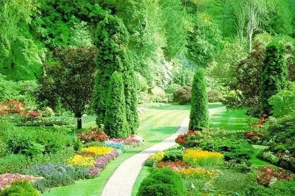 un tres beau jardin