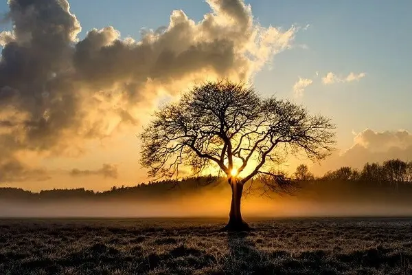 verité interieure importance