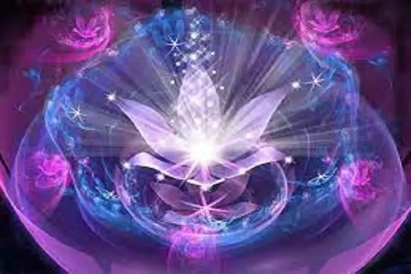 canal de lumiere une belle fleur ouverte