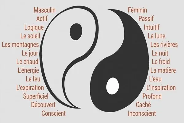 symbolisme-du-yin-yang