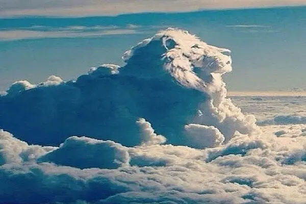 lion en nuage