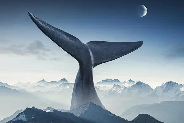 une baleine vole en plein ciel