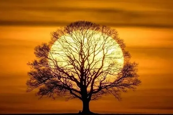 un monde d'amour la sagesse la connaissance