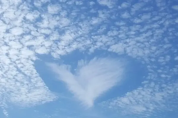 coeur un beau souvenir