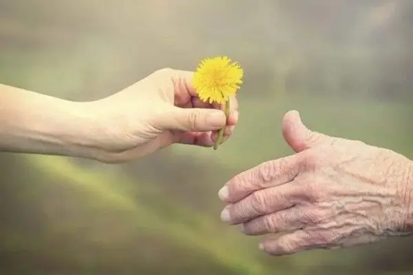 gratitude une fleur à donner