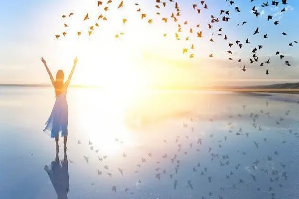 noir ou blanc etre heureux dans la année