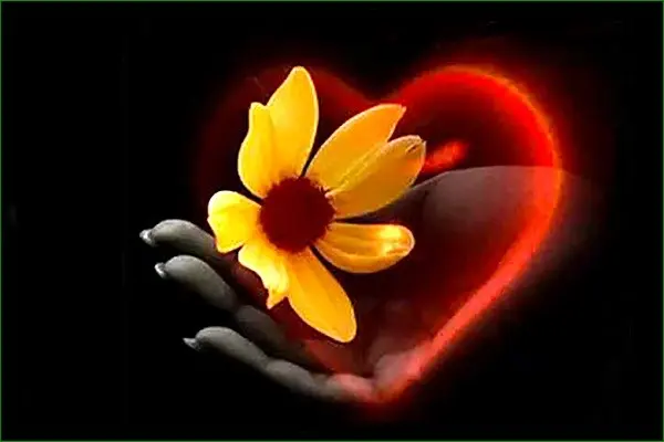 amour et compassion humaine