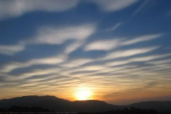 la verite et les faits sur les baleines