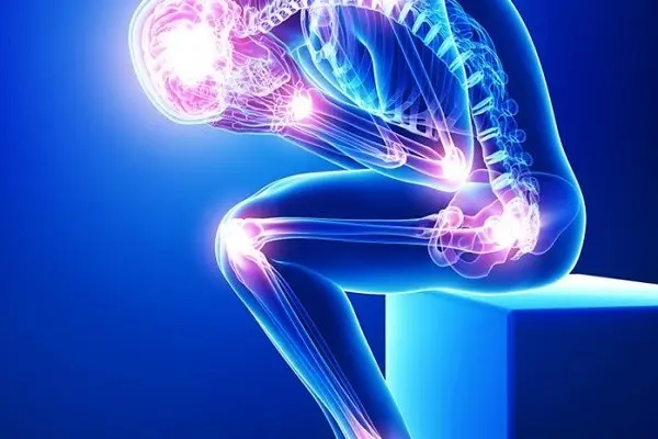 language de notre corps les articulations