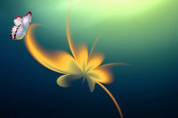 un simple papillon réceptif de lumière