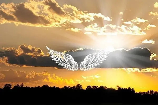 lumiere-divine_ protection de l'homme