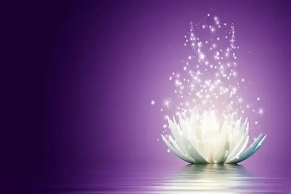 jour du lotus doré transparents